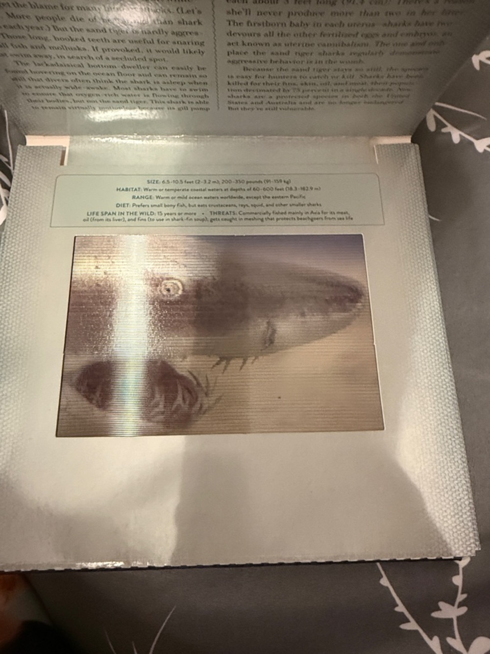 Ocean Photicular Book — Blue and Teal Hardcover - Picture 5 of 9